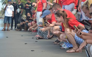 Peserta PIFAF,Semua Ambil Bagian Pelepasan Tukik dan Penanaman Pohon