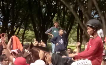 Putra Alif: Jawara Open Race: Kejuaraan Pacuan Kuda Di Polewali Mandar