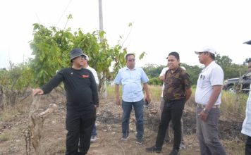 Akmal Sayangkan 50 Hektar Lahan Hanya Hasilkan Rp50 Juta per Tahun