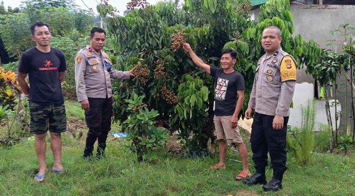 Kapolsek Tutar Koordinasi dengan Tokoh Masyarakat tentang Ketahanan Pangan
