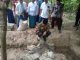 Bupati Polman Letakkan Batu Pertama Pembangunan Masjid Baiturrahman di Salue