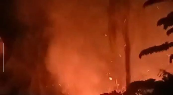 Kebakaran Lahan Hanguskan 1,5 Hektare Kebun Kelapa di Campalagia