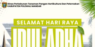 Dinas Perkebunan, Tanaman Pangan, dan Peternakan (Disbuntarnak) Kabupaten Polewali Mandar
