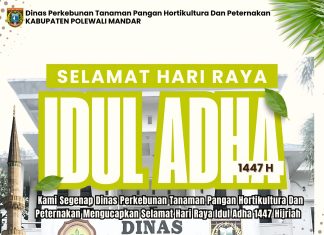 Dinas Perkebunan, Tanaman Pangan, dan Peternakan (Disbuntarnak) Kabupaten Polewali Mandar