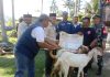 Peduli Petani dan Peternak, Bupati Polman Samsul Mahmud Salurkan Ratusan Kambing untuk Warga
