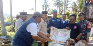 Peduli Petani dan Peternak, Bupati Polman Samsul Mahmud Salurkan Ratusan Kambing untuk Warga