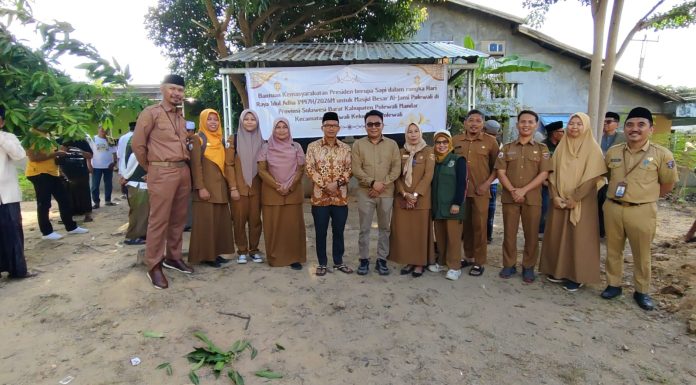 Sapi Kurban Jumbo Presiden Prabowo Diserahkan di Polman, Bupati Polman Bukti Kemajuan Peternakan Daerah