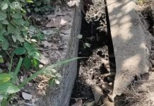 Infrastruktur Rusak, Warga Minta Pelaksana Proyek Sekolah Rakyat Bertanggung Jawab