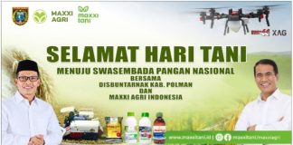 Sambut Hari Tani Nasional, Kelompok Tani Alfala Luyo Terapkan Tanam Tabela PM-AAS