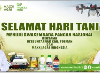 Sambut Hari Tani Nasional, Kelompok Tani Alfala Luyo Terapkan Tanam Tabela PM-AAS
