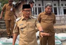 Abrasi Ancam Pesisir Tammangalle, Bupati Samsul Mahmud Siapkan Langkah Penanganan