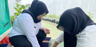 Dari Maggot Menjadi Solusi, Peserta Magang Kemenaker Rutan Mamuju Kembangkan Budidaya Maggot